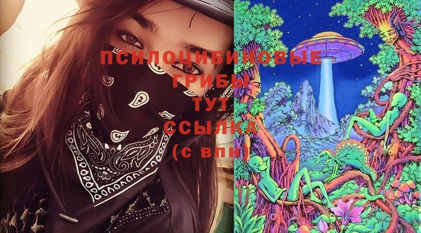 ПСИЛОЦИБИНОВЫЕ ГРИБЫ Карпинск