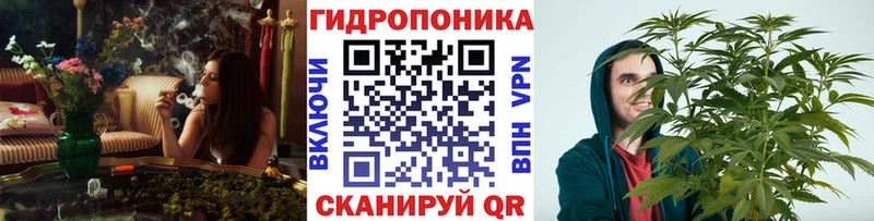 мега как войти  Красный Кут  Каннабис марихуана 